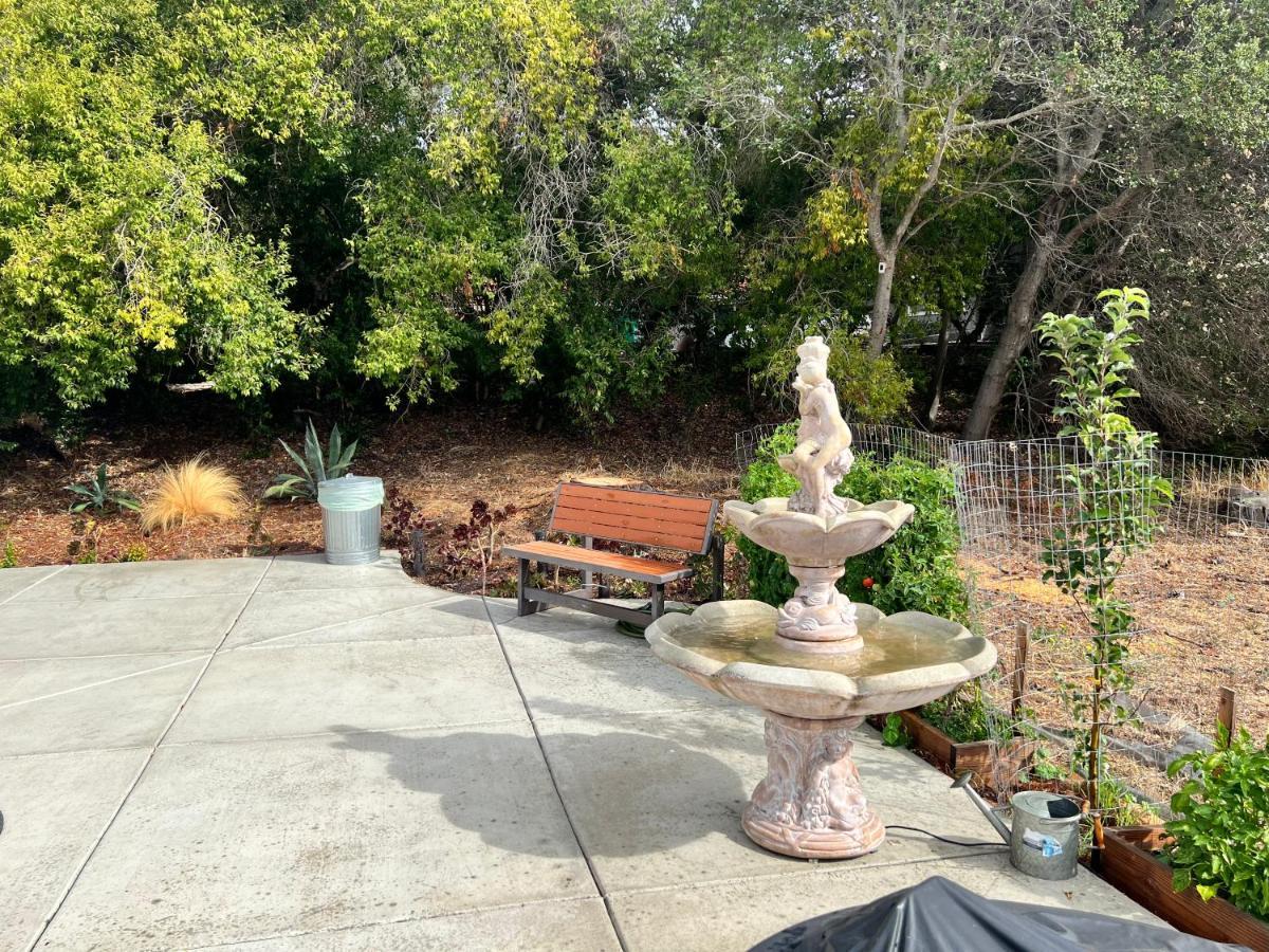 Your Most Romantic And Peaceful Getaway El Sobrante Eksteriør billede